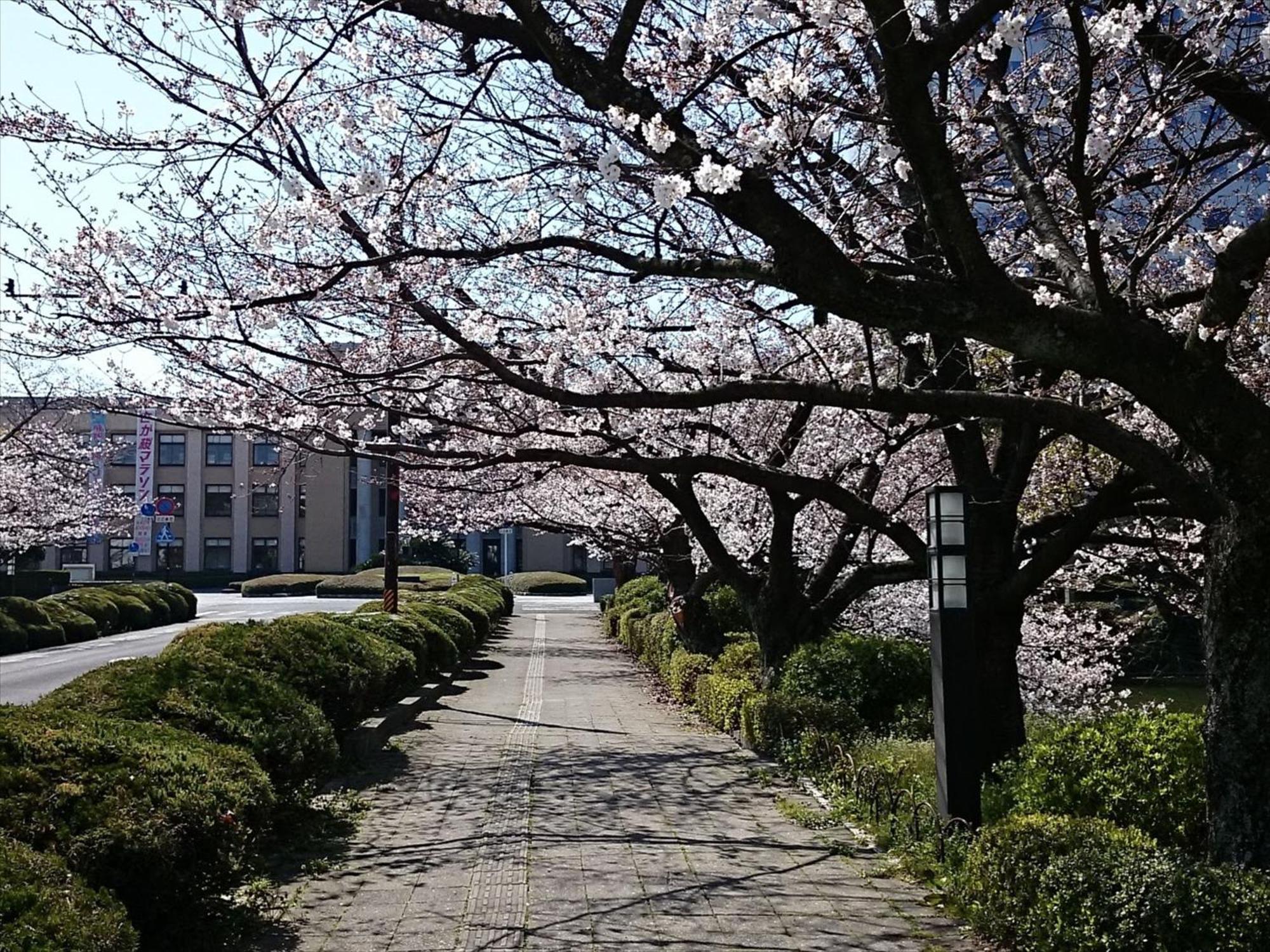 Hotel New Otani Saga Exterior foto